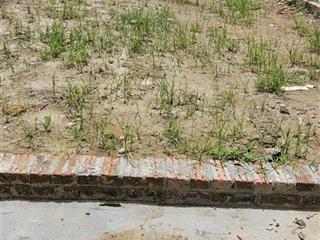 Chính chủ bán 115.5m2 tại tổ 9 tt quang minh  đường thông, ô tô đậu