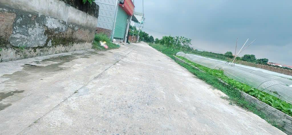 Chính chủ bán 116m2 tại tổ 9 tt quang minh  đường thông, ô tô đậu