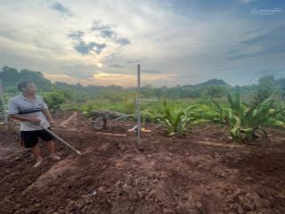 Bán đất nông nghiệp phường tứ liên (chính chủ em liên 0904 640 ***)