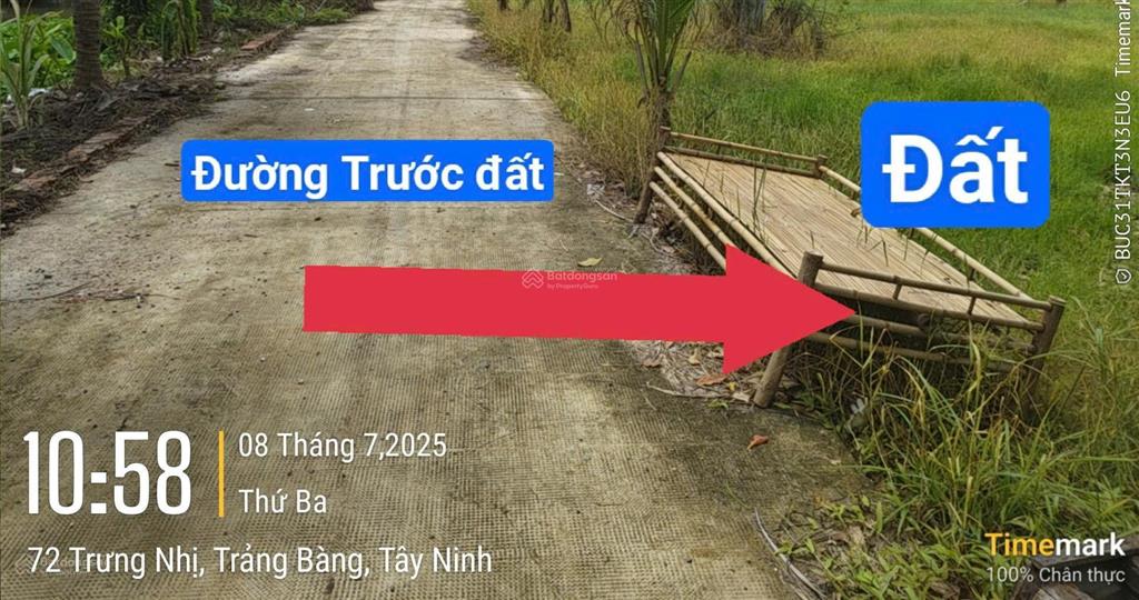Lô đất ngay ubnd thị xã trảng bàng 625m2 có 121m2 đất ở đô thị giá 1 tỷ 250tr, cách chợ 200 mét