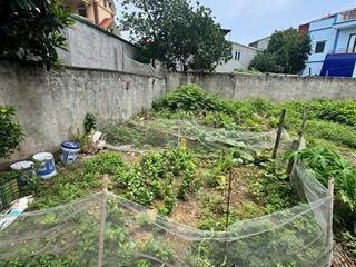 Cần bán lô đất đẹp tại đại áng 42,5m. mt trên 4m. ngõ ôtô.