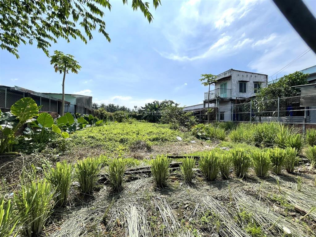 Cần tiền bán gấp lô đất xây cao tầng siêu hiếm 571m2 full thổ cư thạnh mỹ lợi, q2 chỉ 120 triệu/m2