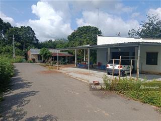Thanh lý lô đất ngay khu dân cư 200m2 sẵn 100 thổ cư shr giá 680tr mặt tiền đường nhựa 8m thông