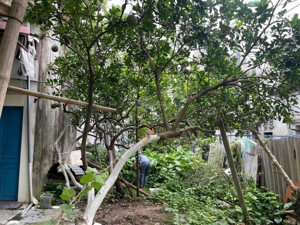 Ban đất tại tây mỗ 50m2 sổ đỏ chính chủ