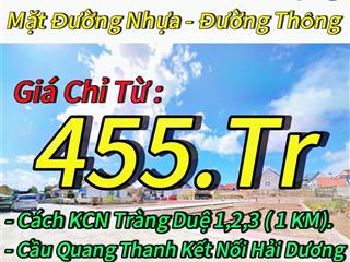 Bán đất 60m2 tại đường 304, xã quang hưng, an lão, hải phòng, giá cực chất 455 triệu