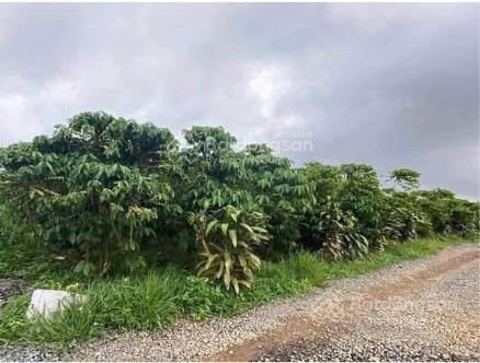 Bán đất đẹp lộc ngãi, đường vào đất dễ đi