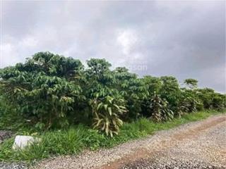 Bán đất đẹp lộc ngãi, đường vào đất dễ đi