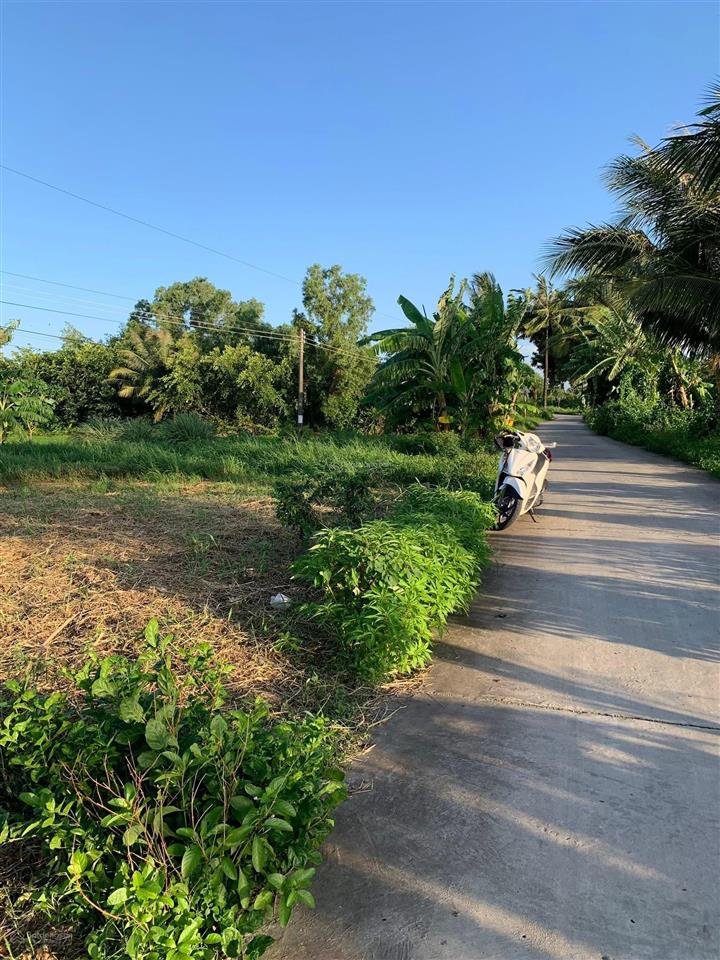 Bán đất 500m2 tại láng tròn, giá rai, bạc liêu, p láng tròn, giá rai, bạc liêu, giá 750 triệu, hot!
