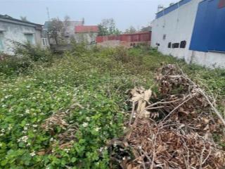 Bán đất 107m2, 800 triệu tại xã quang trung, an lão, hải phòng, giá ưu đãi, chính chủ