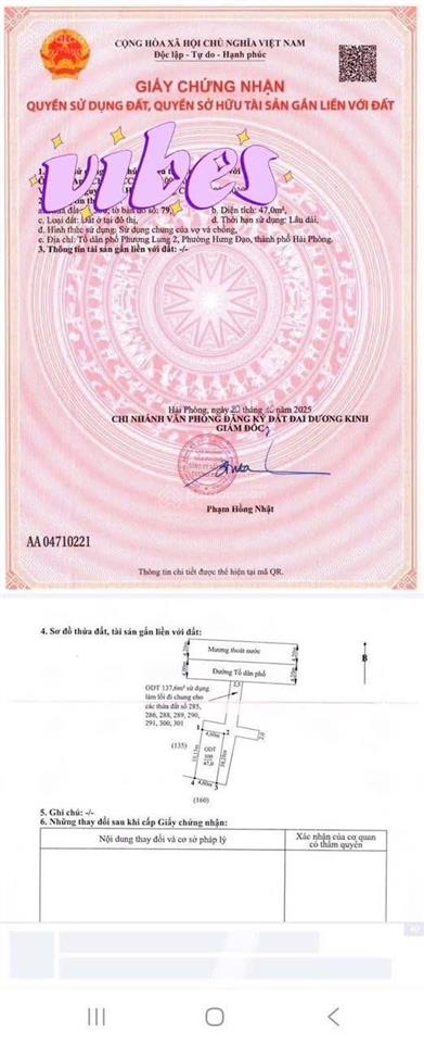 Bán lô góc có dãy nhà trọ dã tượng, chợ hương, hưng đạo, dương kinh. diện tích 46,9m2 lô góc