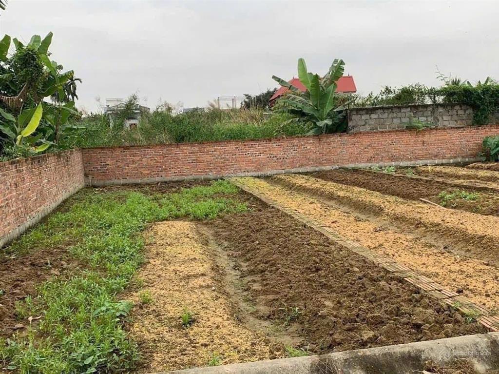 Chính chủ gửi bán lô đất mỹ đức  an lão diện tích 61m2, ngõ ô tô đỗ cửa, đi lại thuận tiện