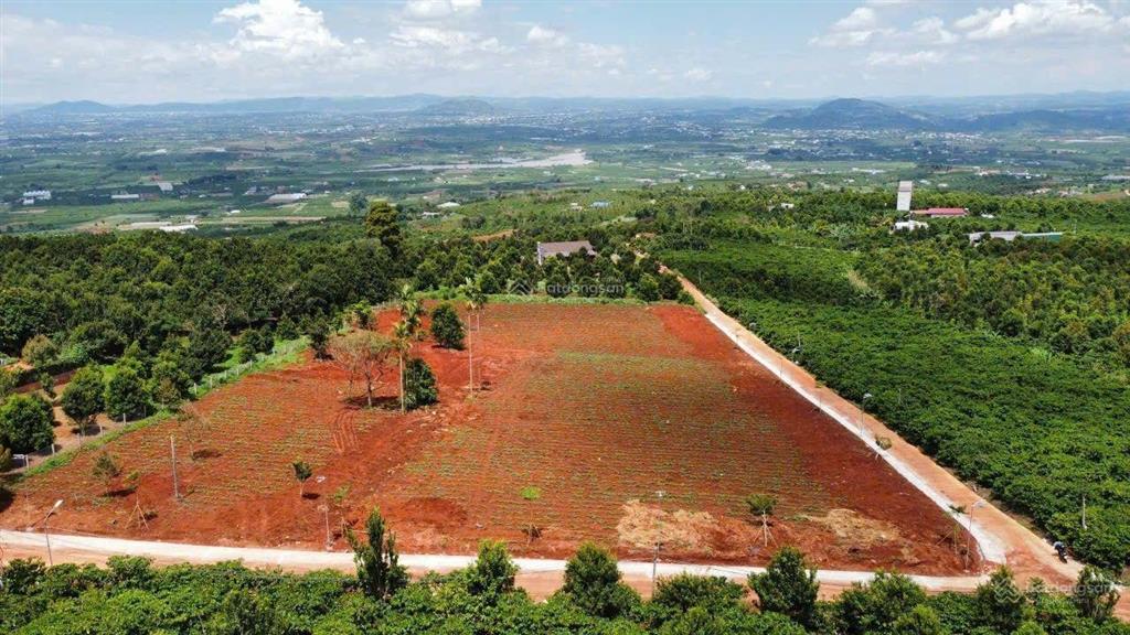 Bán đất view săn mây tân văn, lâm hà, sổ hồng riêng, giá chỉ từ 520 triệu, view dốc 800 tuyệt đẹp