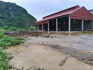 Cho thuê nhà xưởng diện tích 8700m2