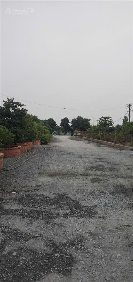 Bán đất 17.599 m²(25x750m) + nhà 4 tầng (120 m²) + vườn cây cảnh, xã tân nhựt, bình chánh, 84 tỷ,