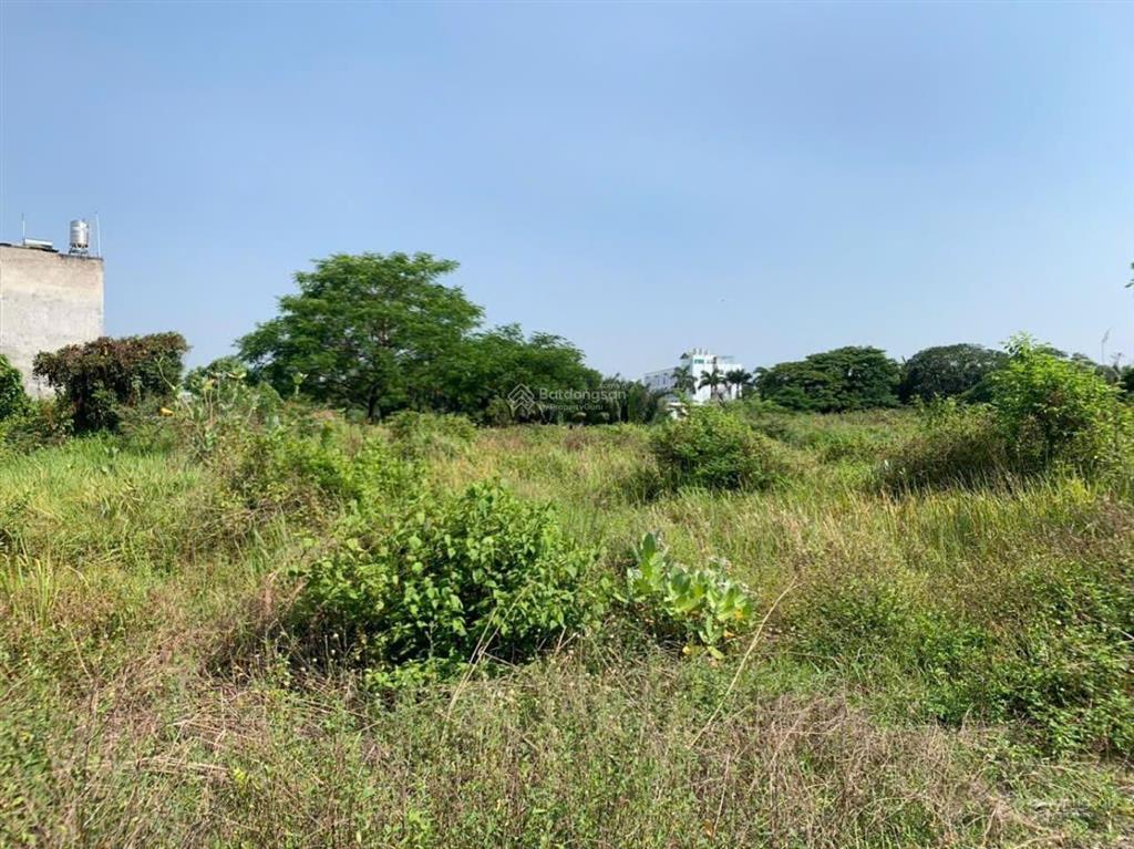 Bán đất 11.936m² (90m x 133m) mặt tiền tam đa  trường thạnh, quận 9  giá chỉ 7,5 triệu đồng/m2