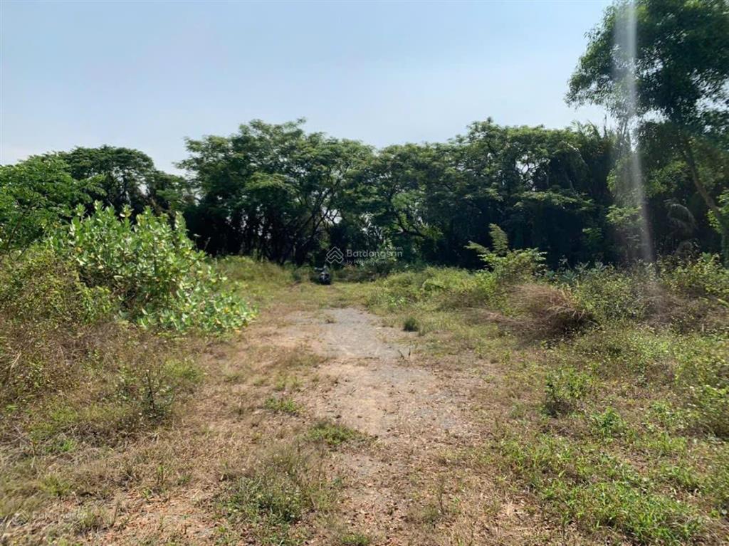Bán đất 11.936m² (90m x 133m) mặt tiền tam đa  trường thạnh, quận 9  giá chỉ 7,5 triệu đồng/m2