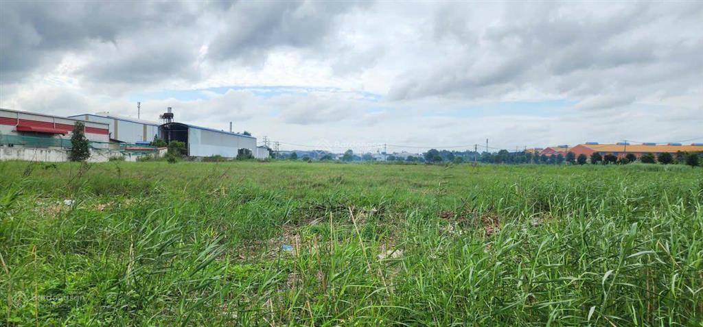 Bán lô đất 3mt khu công nghiệp vĩnh lộc 2, bến lức, long an 41.500m2 sổ sẵn, có thể xây dựng ngay