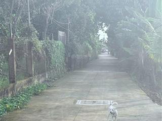 Cần bán đất 3 mặt tiền view sông hóc môn  tphcm chỉ 15tr/m2 full đất ở