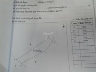 Chính chủ bán đất trích lục, bản đồ 299 diện tích 2011m2, mặt tiền rộng 15m đường ô tô