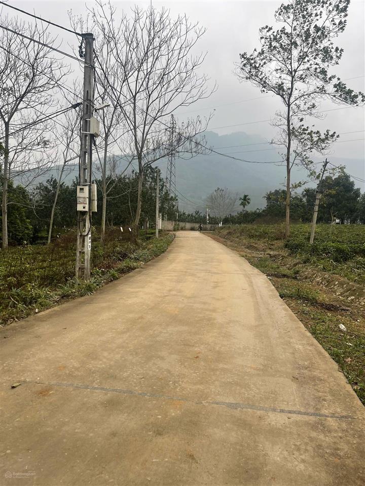 Siêu phẩm giá rẻ đất ba trại, ba vì có 150m2 đất ở diện tích cực rộng 2011m2