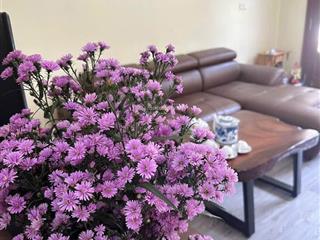Chính chủ bán nhà 4.5 tầng ngũ hiệp diện tích đẹp nhà 4.5 tầng, thiết kế hợp lý công