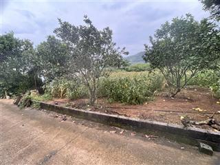 Chính chủ bán 3000m2 đất chưa sổ đỏ (đất khai hoang). mặt tiền 50m. đường 5m ô tô tải vào tận đất