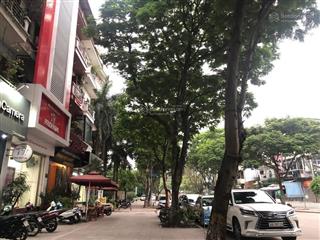 Chính chủ muốn bán căn nhà mặt phố vạn phúc ba đình. vỉa hè rộng, kd đỉnh . dt 60m, 5t. bán 36,5tỷ