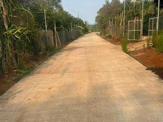 Đất được trồng sẵn đủ loại trái cây