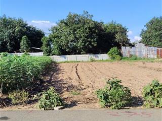 Đất an linh phú giáo, dt 255m2 có 100m2 tc, giá chỉ 490tr