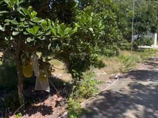 Bán đất dh507, 500 triệu, 209 m2, an linh, phú giáo, bình dương giá tốt, mặt tiền rộng