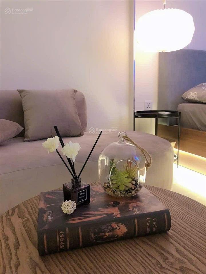 Chính chủ cần bán gấp căn studio 30m2 tầng 2210 toà gs3 vinhomes smart city. giá 2.5 tỷ bao phí