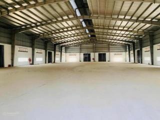 Cho thuê kho chứa hàng 1.600m² KCN Tân Bình, trần cao 9m, nền bê tông chịu lực, có PCCC
