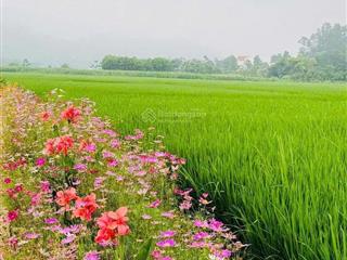 Bán lô đất 760m2 bám mặt đường to liên xã tại cao dương, lương sơn, hòa bình