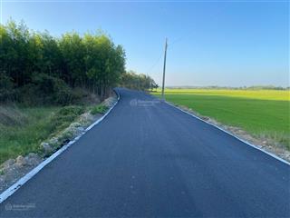 Bán đất ruộng ở láng dài, mặt tiền đường long tân  láng dài