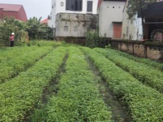 Bán đất tại xã liên nghĩa, văn giang, hưng yên, 271m2. giá 38tr / m2