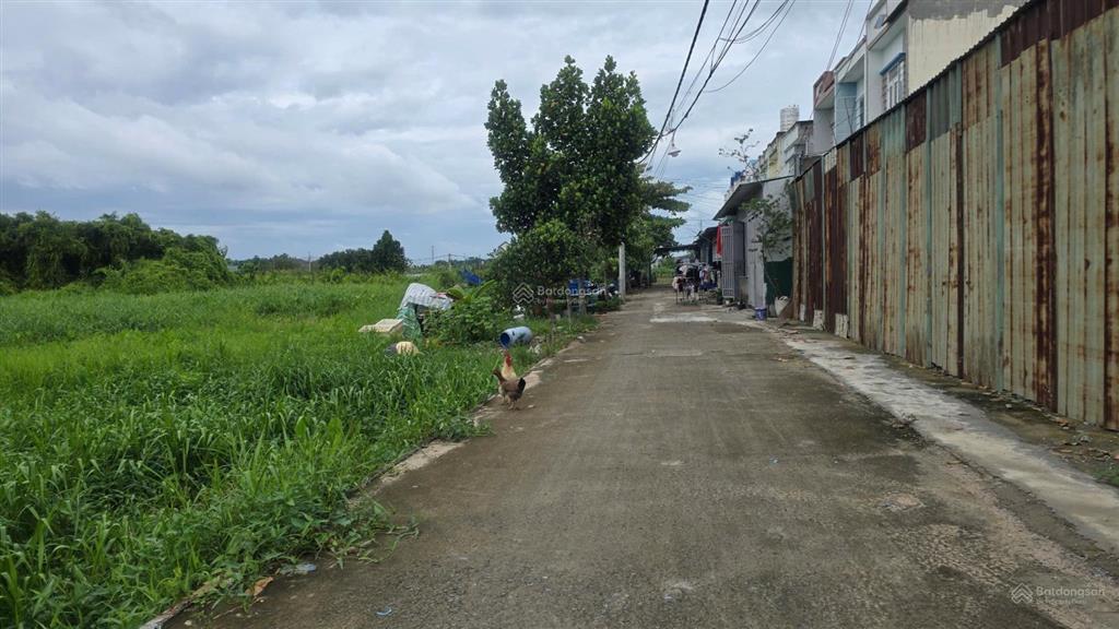 Đất nằm trong khu dân cư gần vành đai 3, bình mỹ, củ chi