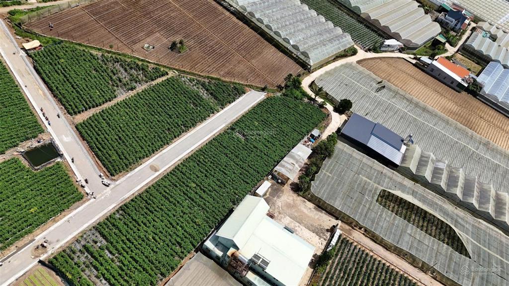 Đất 2 mặt tiền 10m thị trấn thạnh mỹ,lâm đồng, 1,3 tỷ, 261 m2, view đẹp, chính chủ