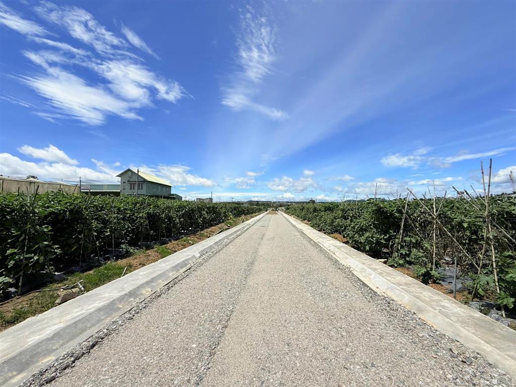 Đất 2 mặt tiền 10m thị trấn thạnh mỹ,lâm đồng, 1,3 tỷ, 261 m2, view đẹp, chính chủ