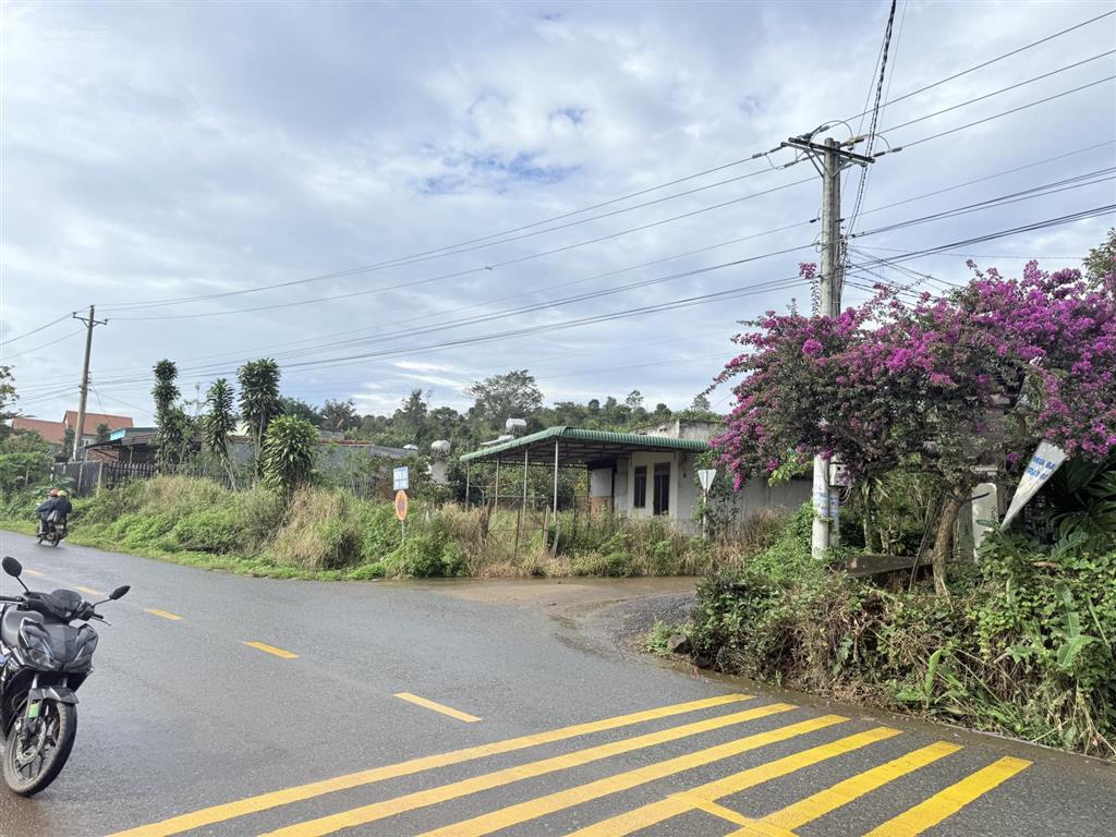 Bán đất mặt tiền nhựa tại xã tân văn, lâm hà, lâm đồng, 550 triệu, 270m2