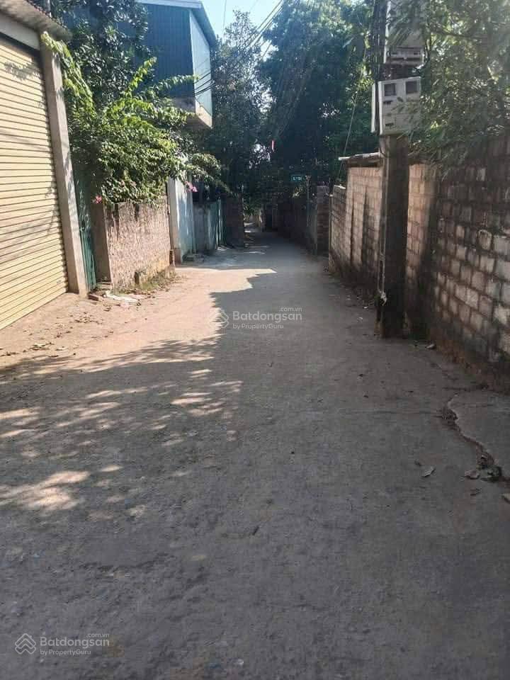 Đất nền trong dãy liền kề đồi hoạ sỹ