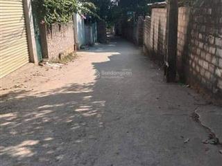 Đất nền trong dãy liền kề đồi hoạ sỹ