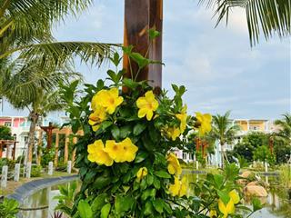 Bán biệt thự đẹp tại caraworld cam ranh  38 đại tiện ích, cách biển bãi dài 5 phút di chuyển