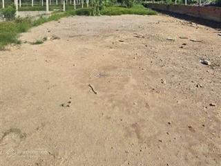 Bán đất 1000m² ấp 6, trần hải phụng, vĩnh lộc b, tp. hcm. 5,8 tỷ,  0933 447 ***