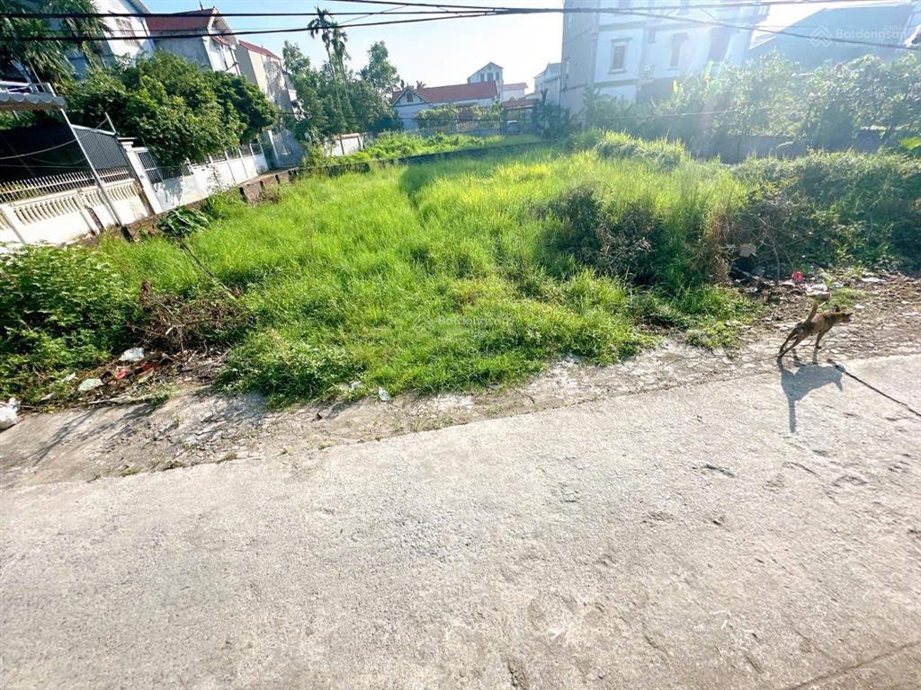 Bán đất 40,6m2 tại xã dân hòa, thanh oai, hà nội, giá 2,2 tỷ, mặt tiền 4,23m, ngõ rộng 5m