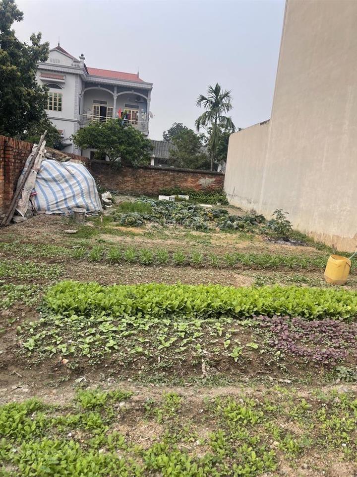 Bán đất tại đường 2, phú minh, sóc sơn, hà nội, 3,2 tỷ, sơn, hà nội, 3,2 tỷ, 98m2 uy tín chính chủ