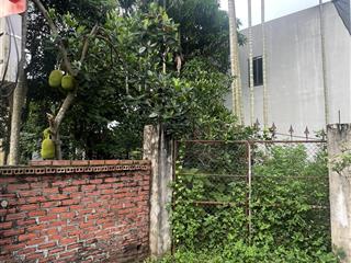 Bán đất thôn đông phù lỗ 224m2 giá chỉ 5.35tỷ