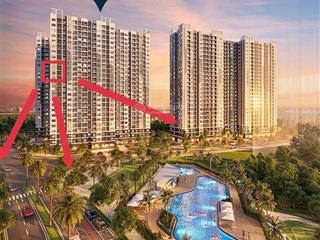 Quỹ căn chuyển nhượng the beverly tháng 7/2025  độc quyền  đa dạng  pháp lý rõ ràng.