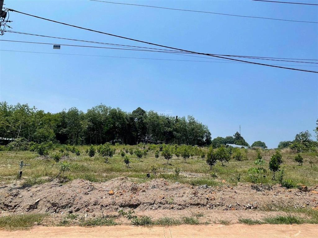 Ngôpanh ba bán nhanh lô đất vườn 300m2 có săn 100tc ngay sát ubnn an linh, phú giáo