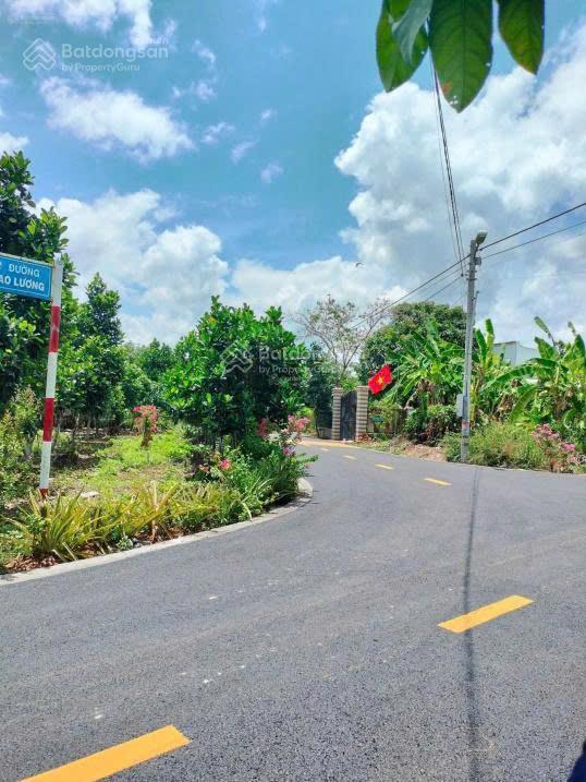 Ngộp bán nhanh lô đất 300m2 ngay sát trung tâm tân hiệp, giá 550 triệu full sổ
