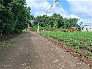 Ngộpbán nhanh lô đất 346m2+100tc ngay sau ubnn an linh,mặt tiền 15m betong oto vào tận đất